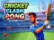 Cricket Clash Pong – kostenloses Online-Spiel
