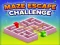 Maze Escape Challenge – kostenloses Online-Spiel