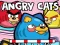 Angry Cats – kostenloses Online-Spiel