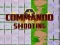 Commando Shooting – kostenloses Online-Spiel