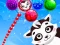 Raccoon Rescue – kostenloses Online-Spiel