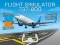 Flight Simulator 737-800 – kostenloses Online-Spiel