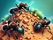 Ant Colony – kostenloses Online-Spiel