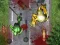 Crush The Zombies – kostenloses Online-Spiel