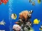 Sea Underwater Difference – kostenloses Online-Spiel