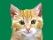 Idle Painter – kostenloses Online-Spiel