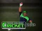 Cricket Fielder Challenge – kostenloses Online-Spiel