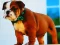 Bulldog Puppy Puzzle – kostenloses Online-Spiel
