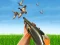 Bird Hunting – kostenloses Online-Spiel