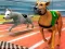 Dogs 3D Races – kostenloses Online-Spiel