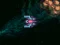 Asteroid Crush – kostenloses Online-Spiel
