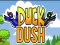 Duck Dash – kostenloses Online-Spiel