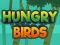 Hungry Birds – kostenloses Online-Spiel