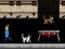 Streamer Fashion Run – kostenloses Online-Spiel