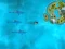 Survive the Sharks – kostenloses Online-Spiel