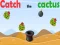 Catch The Cactus – kostenloses Online-Spiel