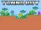 Tunno Boy – kostenloses Online-Spiel