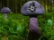 Mushroom Forest Adventure – kostenloses Online-Spiel