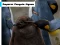 Emperor Penguin Jigsaw – kostenloses Online-Spiel