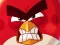 Angry Birds vs Pigs – kostenloses Online-Spiel