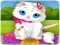 Vet Cat Clinic – kostenloses Online-Spiel