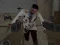 Residence of Evil: Quarantine – kostenloses Online-Spiel