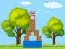 Box Challenge – kostenloses Online-Spiel