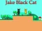 Jake Black Cat – kostenloses Online-Spiel
