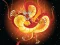 Chinese Dragons Coloring – kostenloses Online-Spiel