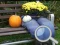 Autumn Garden Find 100 butterflies – kostenloses Online-Spiel