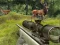 Stag Hunt – kostenloses Online-Spiel