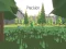 Precision – kostenloses Online-Spiel