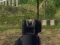 Army Shooter – kostenloses Online-Spiel
