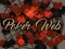 Poker Web – kostenloses Online-Spiel