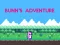 Bunn's Adventure – kostenloses Online-Spiel
