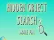 Hidden Object Search 2 More Fun – kostenloses Online-Spiel