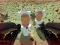 Shooting Survival Skibidi Toilet – kostenloses Online-Spiel