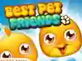 Best Pet Friends – kostenloses Online-Spiel