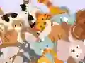Find The Kitty – kostenloses Online-Spiel
