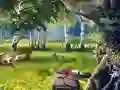Scout Camp – kostenloses Online-Spiel