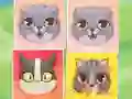 Kitten Match – kostenloses Online-Spiel