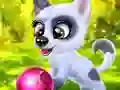 Happy Dog – kostenloses Online-Spiel