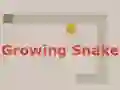 Growing Snake – kostenloses Online-Spiel
