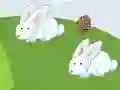 Crazy Eggs – kostenloses Online-Spiel