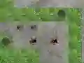Spider Tower Defence – kostenloses Online-Spiel