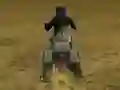 Real Moto Stunts Challenge – kostenloses Online-Spiel