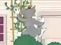 Tom und Jerry: Wasserbomben Wahnsinn – kostenloses Online-Spiel