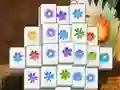 Spring Flower – kostenloses Online-Spiel