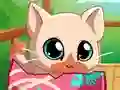My Pocket Pets Kitty Cat – kostenloses Online-Spiel