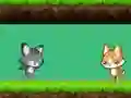 Cat vs Dog – kostenloses Online-Spiel